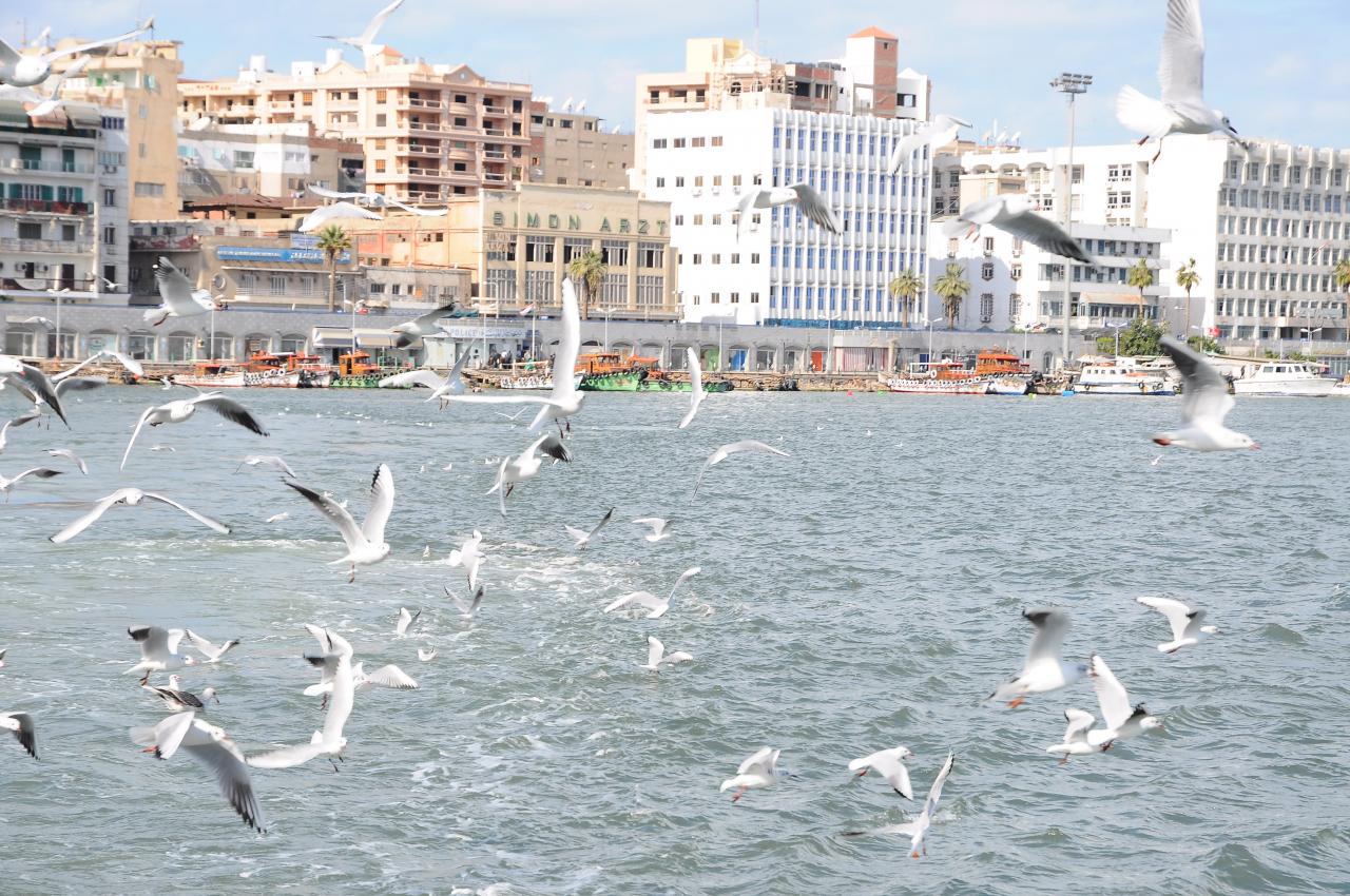 ابي اقرب مدينه او محافظة فيها بحر قريبه من المدينه , محتاجه مكان في بحر موجود في المدينه