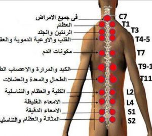 حالي بعد الحجامة Unnamed File 294