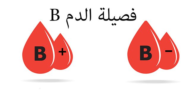 رجيم يناسب فصيلة الدم بي موجب - اخسري وزنك بطريقة علمية 743 1